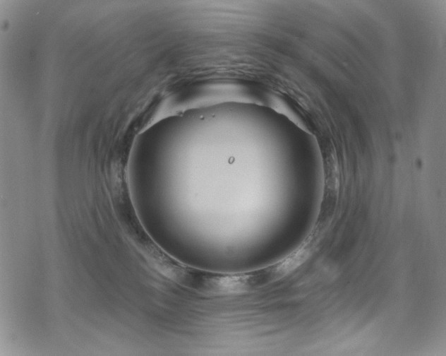 X0000075900184200609151421