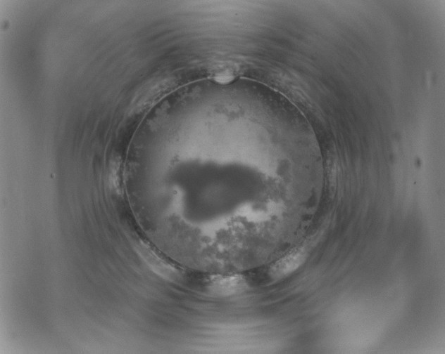 X0000075900185200609151421