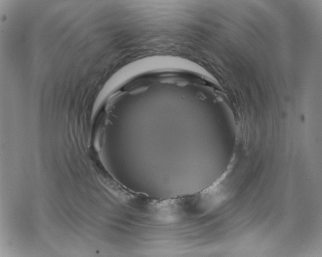 X0000075900186200609151421