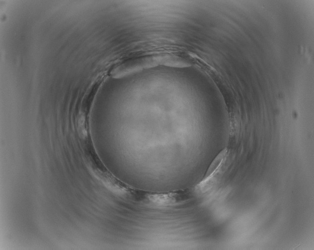 X0000075900187200609151421