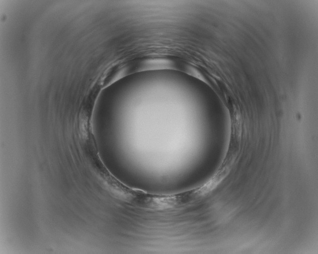 X0000075900188200609151421