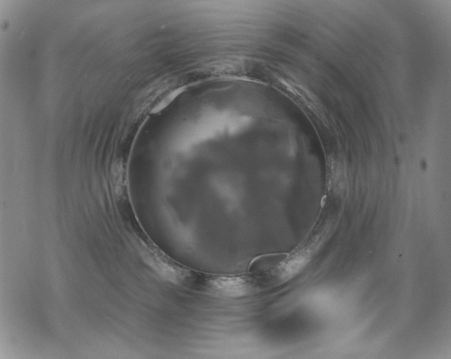 X0000075900189200609151421