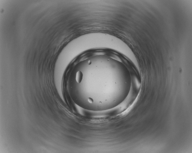 X0000075900190200609151421