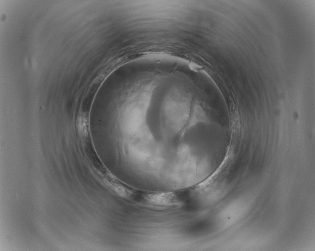 X0000075900191200609151421