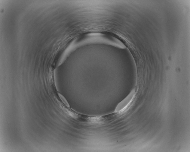 X0000075900192200609151421