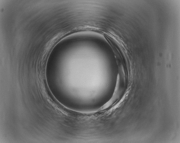 X0000075900193200609151420