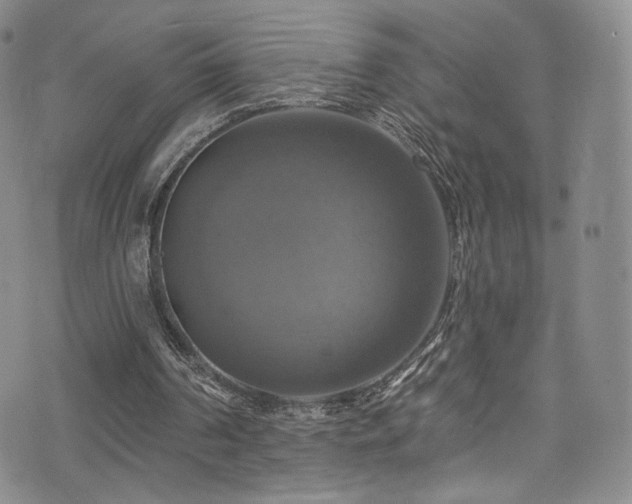 X0000075900194200609151420