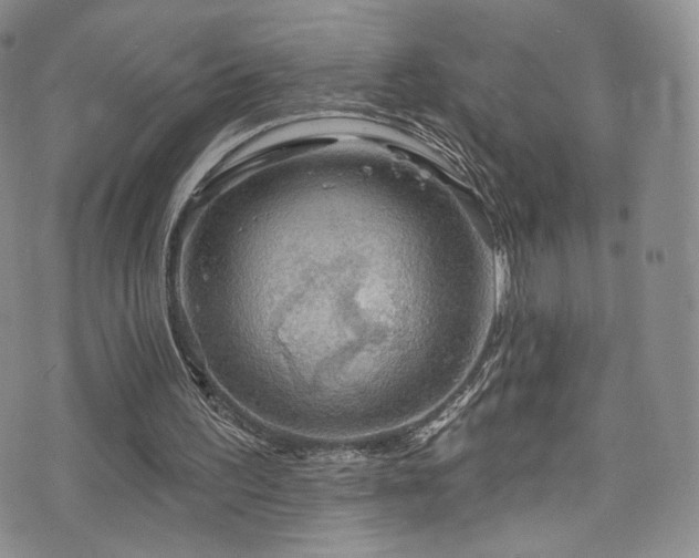 X0000075900195200609151420