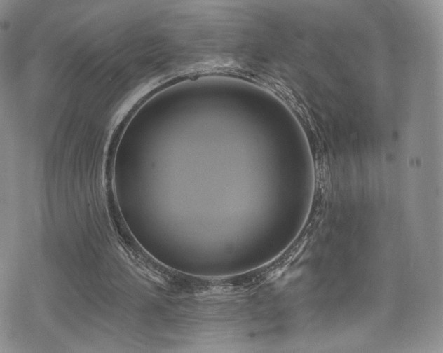 X0000075900196200609151420