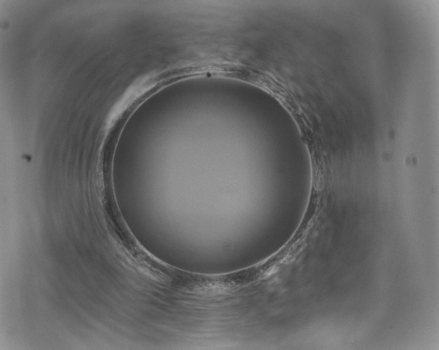 X0000075900198200609151420