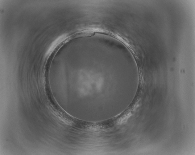 X0000075900199200609151420