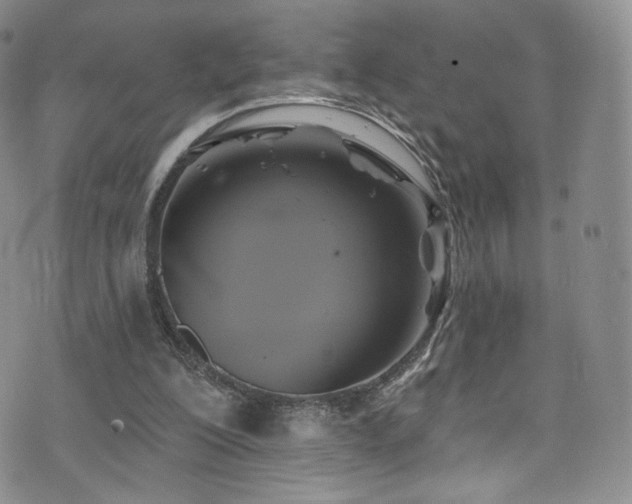 X0000075900200200609151420