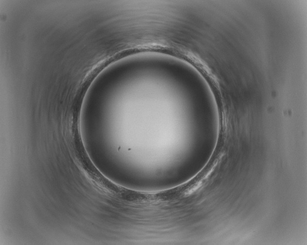 X0000075900201200609151420