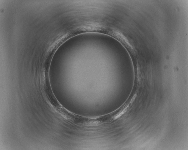 X0000075900202200609151420