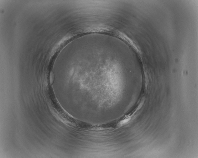 X0000075900203200609151420