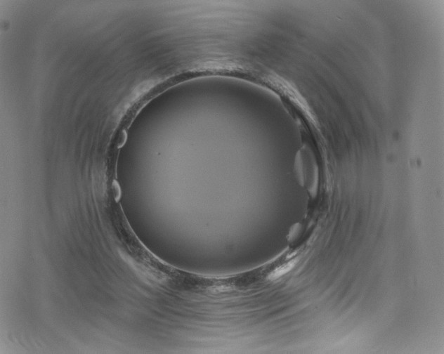 X0000075900204200609151420