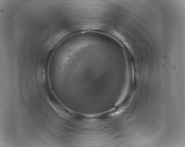 X0000075900205200609151420