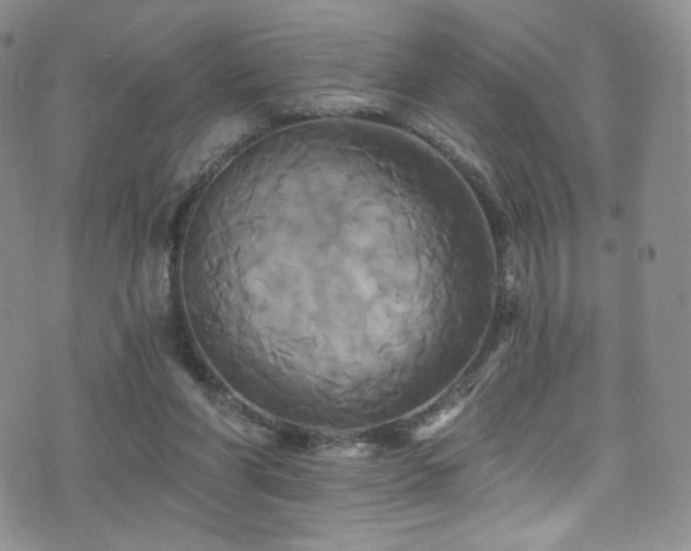 X0000075900206200609151420