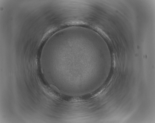 X0000075900207200609151420