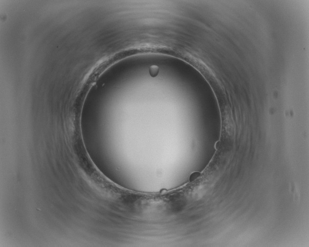 X0000075900208200609151420