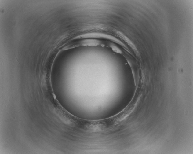 X0000075900209200609151420