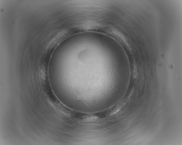 X0000075900210200609151420