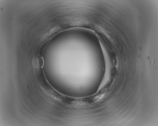 X0000075900211200609151420