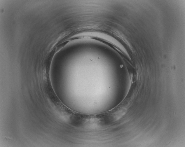 X0000075900212200609151420