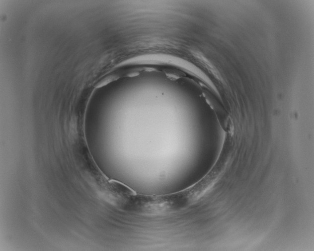 X0000075900213200609151420