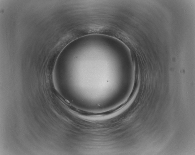 X0000075900215200609151420