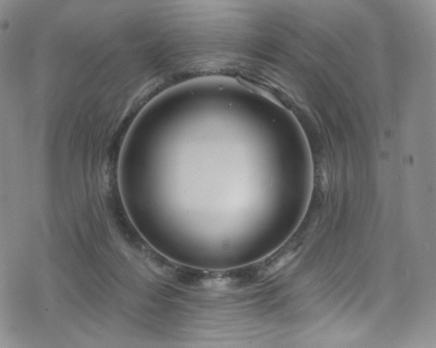 X0000075900216200609151420