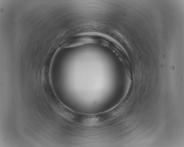 X0000075900217200609151420