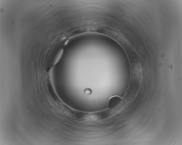 X0000075900218200609151420