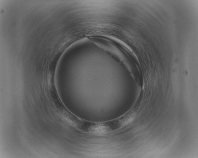 X0000075900219200609151420