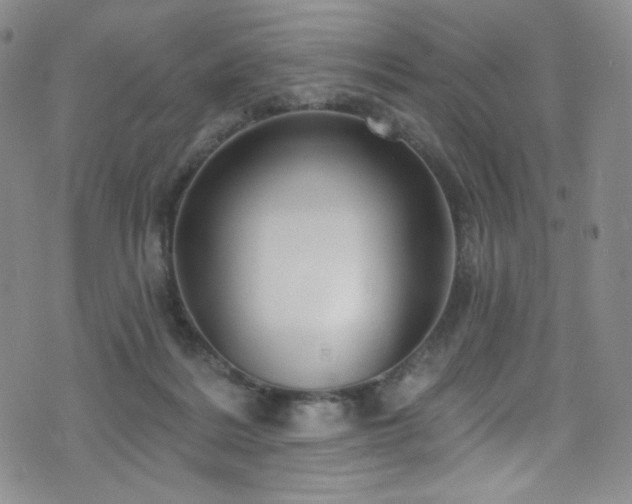 X0000075900220200609151420