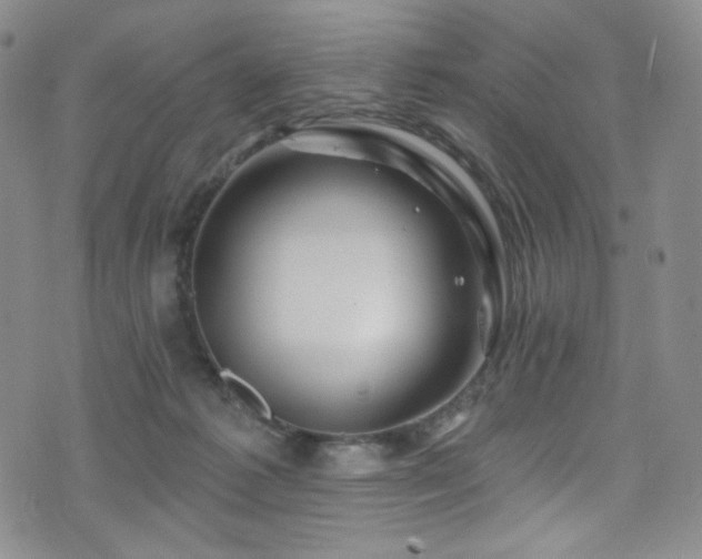 X0000075900221200609151420