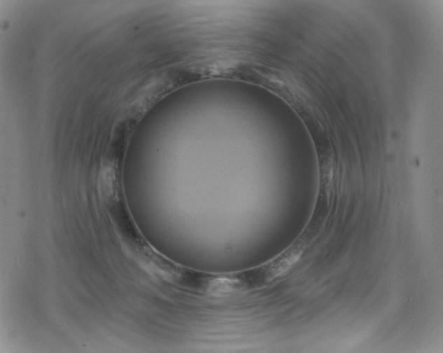 X0000075900222200609151420