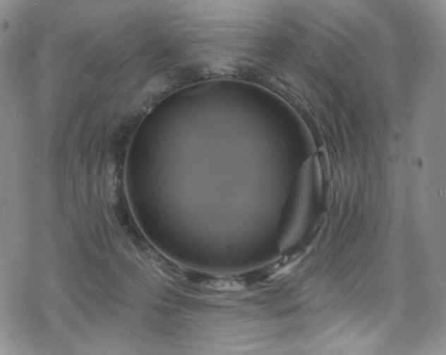 X0000075900223200609151420