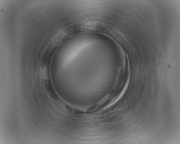 X0000075900224200609151420