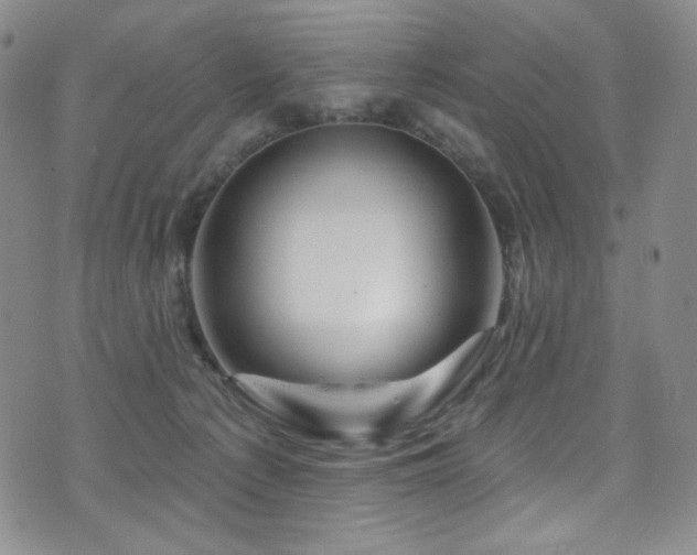 X0000075900225200609151419