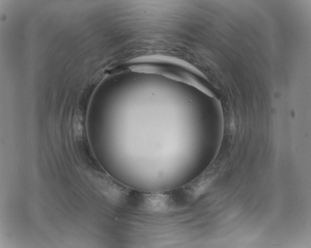 X0000075900226200609151419