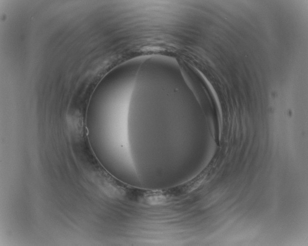 X0000075900228200609151419