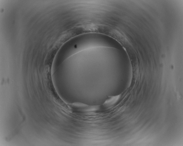 X0000075900229200609151419