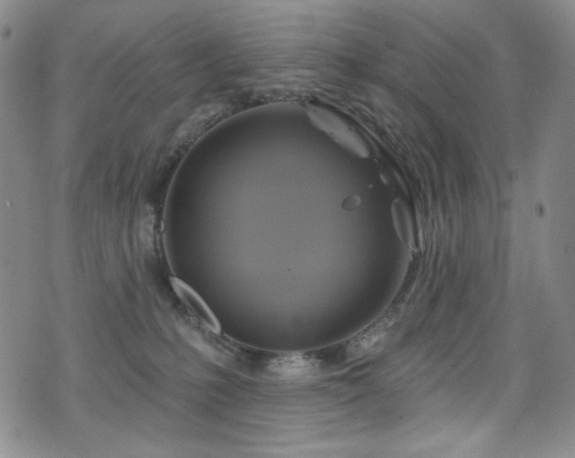 X0000075900231200609151419