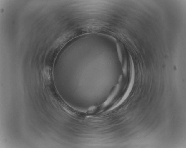 X0000075900232200609151419