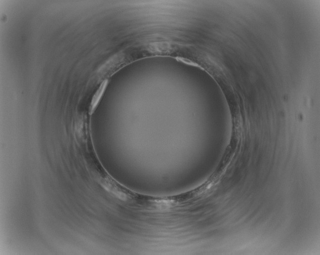 X0000075900233200609151419