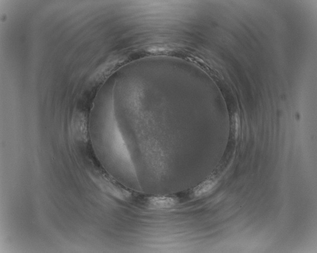 X0000075900234200609151419