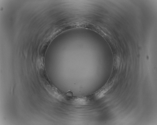 X0000075900236200609151419