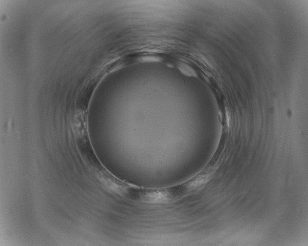 X0000075900237200609151419