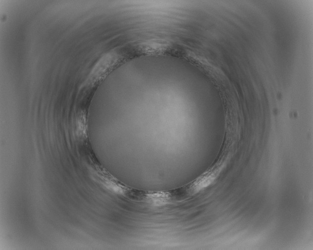 X0000075900240200609151419